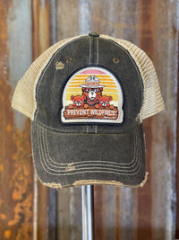 Thumbnail for Smokey Bear Merchandise Angry Minnow Vintage