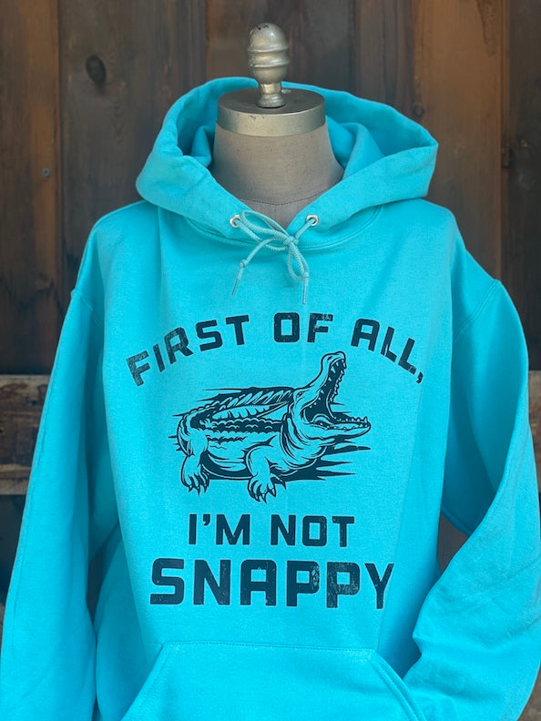 I'm not SNAPPY Hoodie- Turquoise