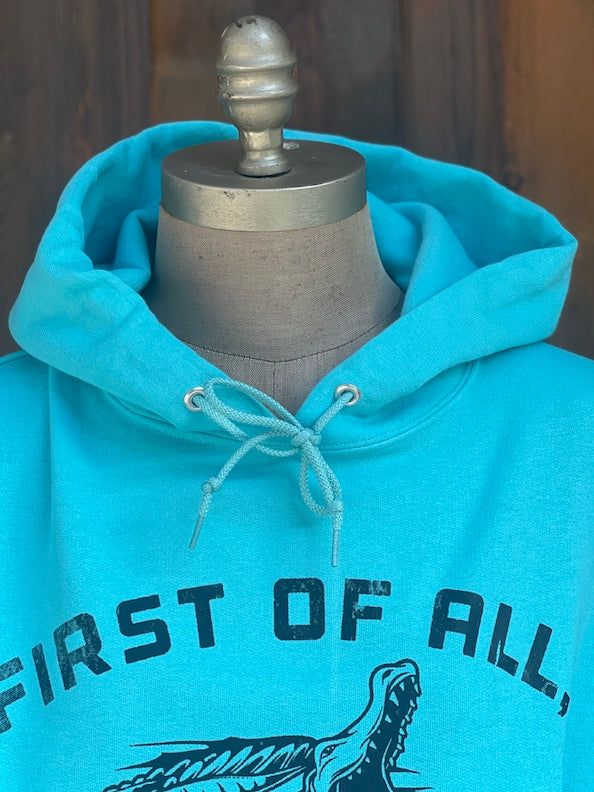 I'm not SNAPPY Hoodie- Turquoise