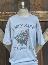 Thumbnail for Sorry Santa I've been Feral Tee- Heather Grey