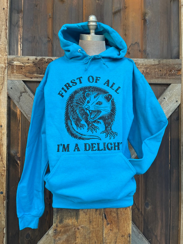 I'm a Delight Hoodie- Sapphire Blue