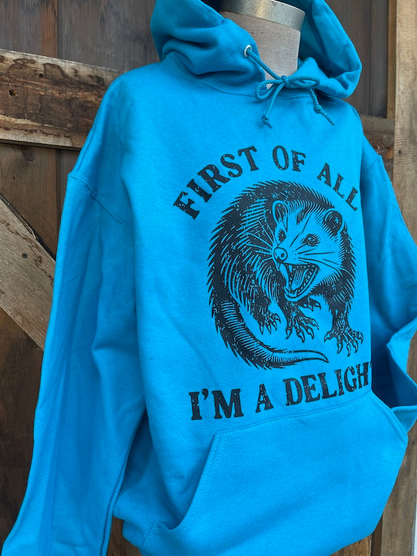 I'm a Delight Hoodie- Sapphire Blue