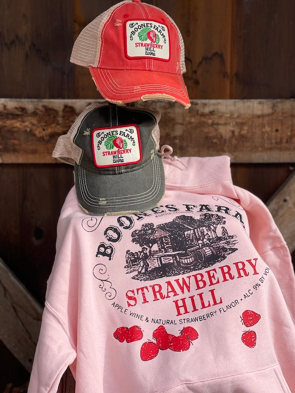 House Party Hoodie- Blush Pink