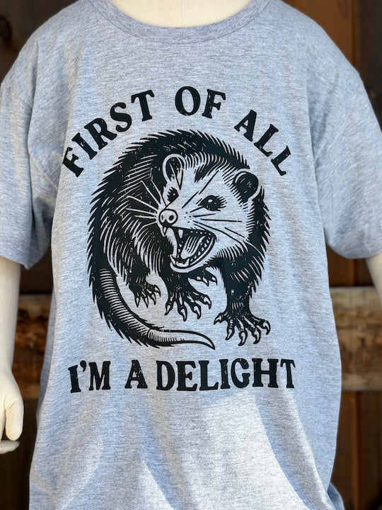 YOUTH SIZE I'm a Delight Tee- Heather Grey