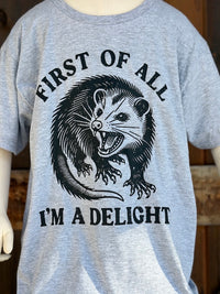 Thumbnail for YOUTH SIZE I'm a Delight Tee- Heather Grey