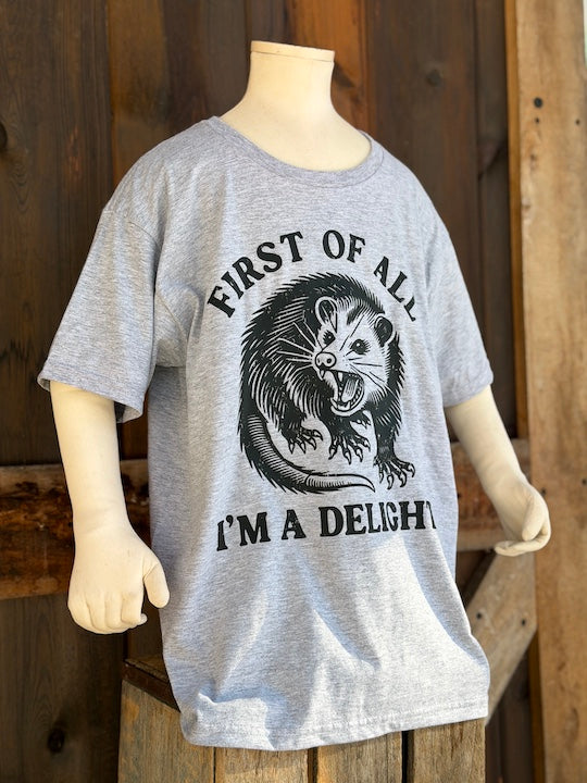 YOUTH SIZE I'm a Delight Tee- Heather Grey