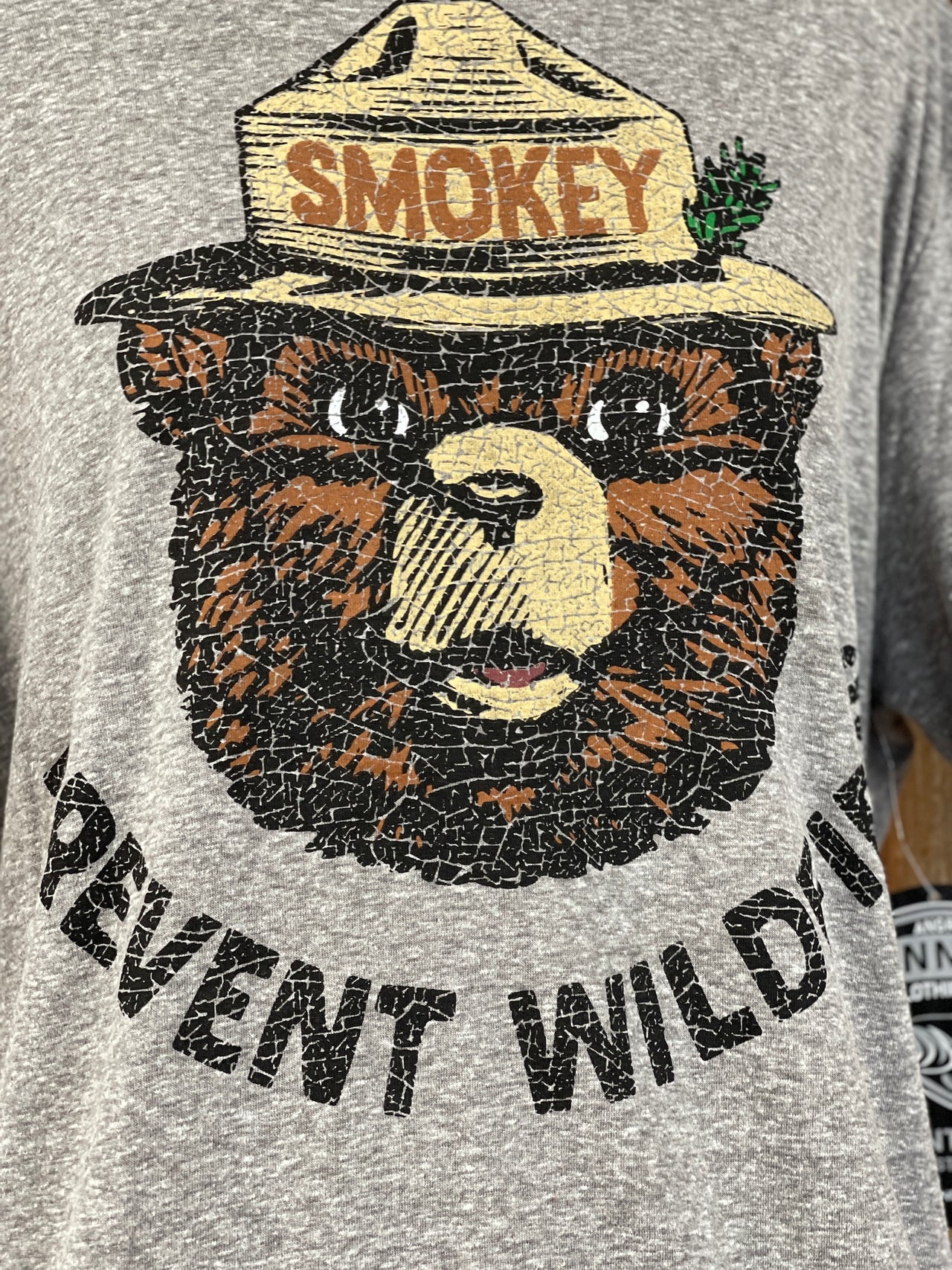Smokey Bear PREVENT WILDFIRES Graphic Tee- Heather Grey – Angry