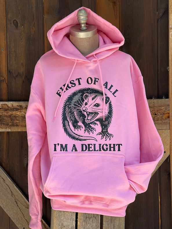 Angry Minnow Snarky Hoodies