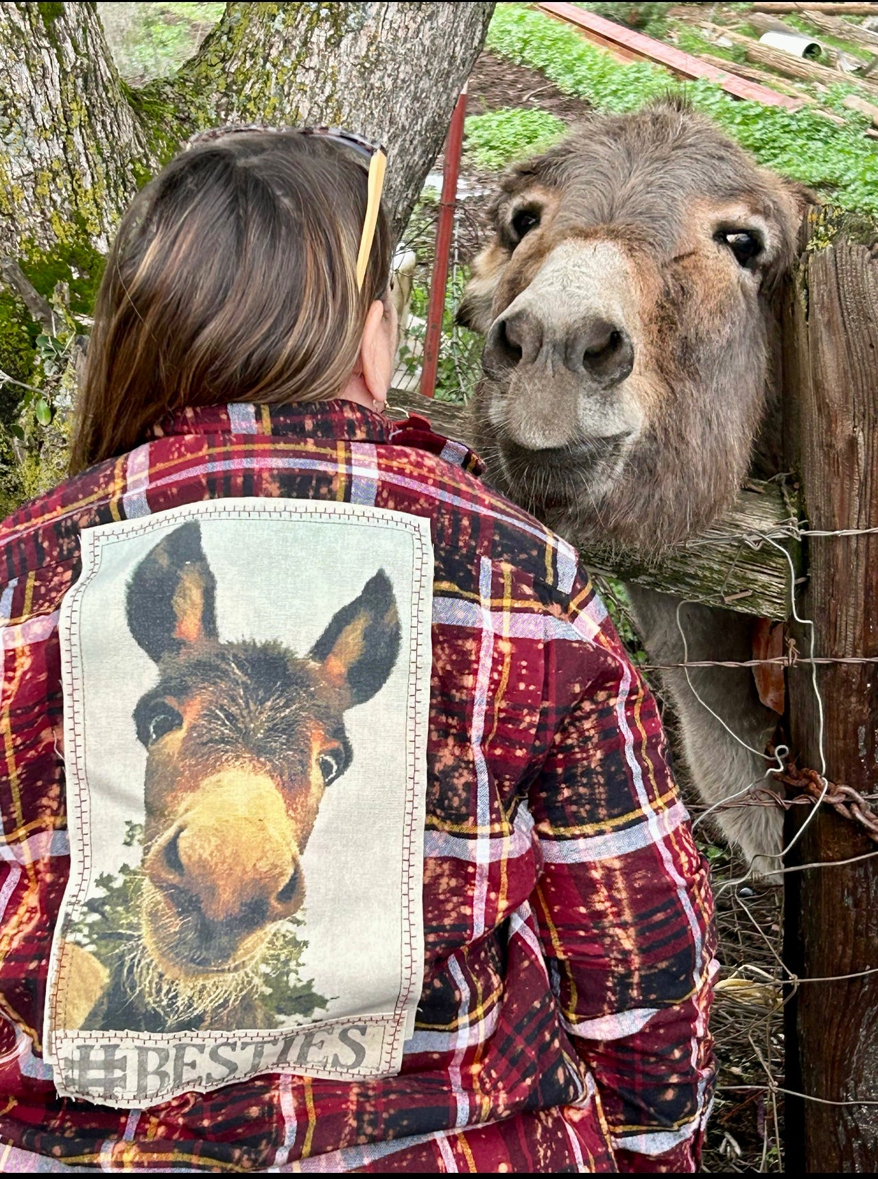Barn Besties Donkey Art Flannel- LIMITED EDITION