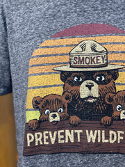 Smokey Bear & Cubs LUXE Tee- Charcoal Grey SALE!