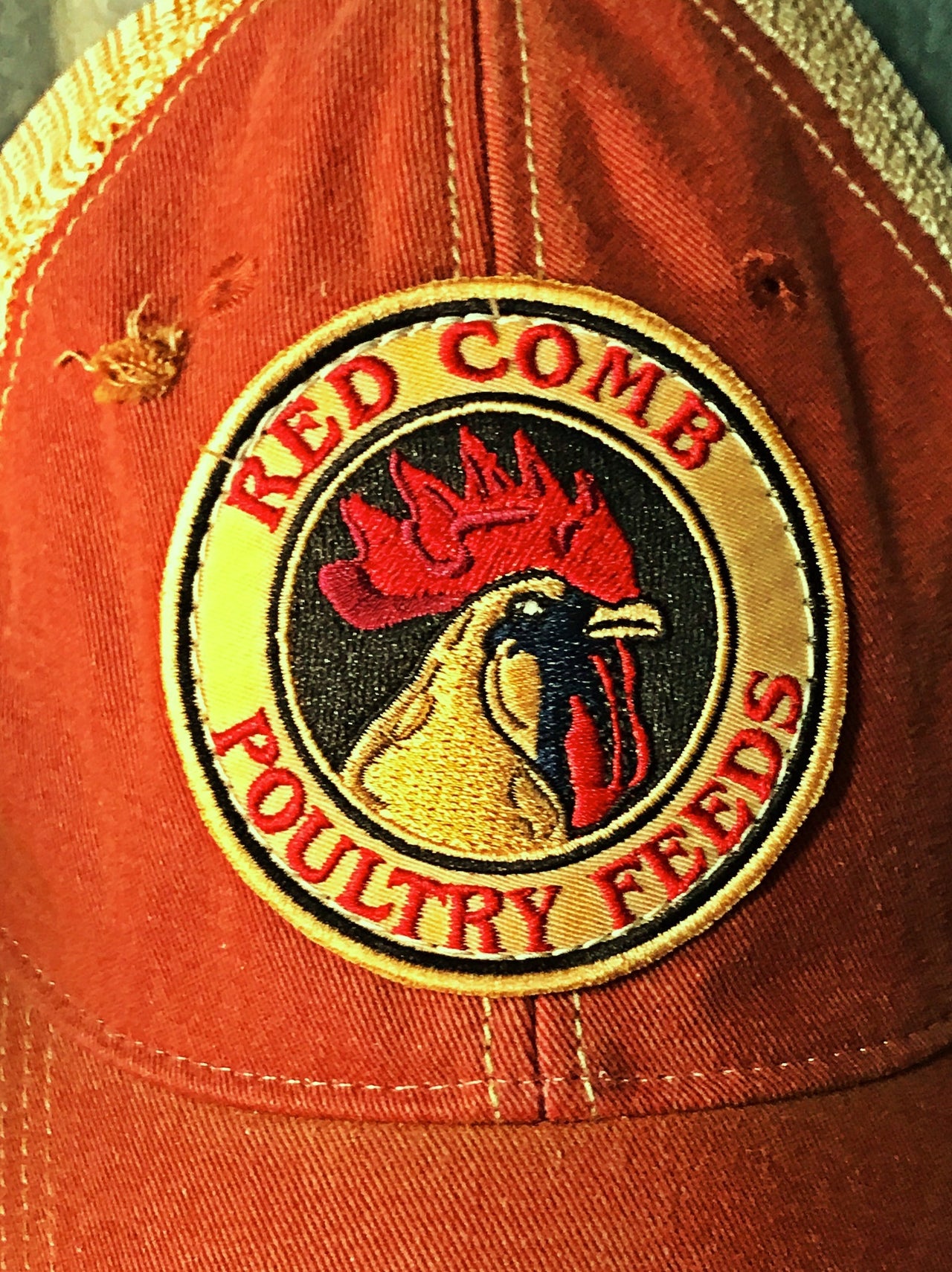 Red Comb Feeds Baseball Cap