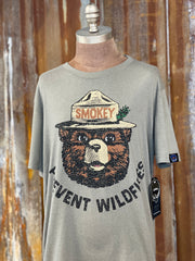 Smokey Bear Prevent Wildvires Graphic Tee