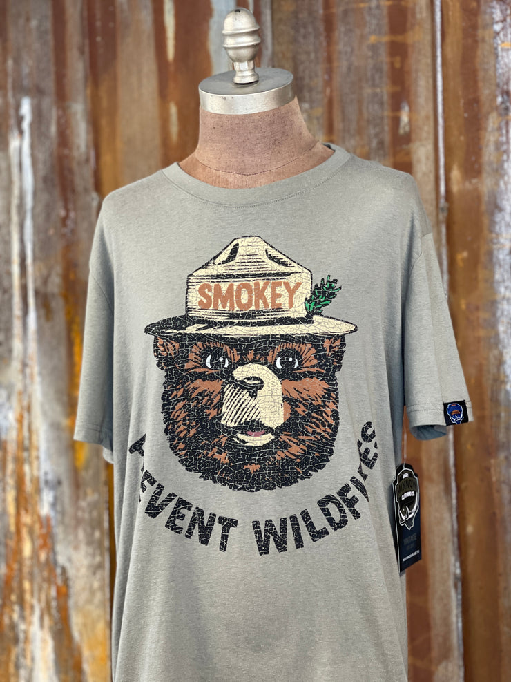 Smokey Bear Prevent Wildvires Graphic Tee