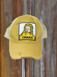 Thumbnail for Chaka the monkey